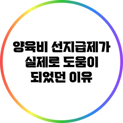 양육비 선지급제가 실제로 도움이 되었던 이유