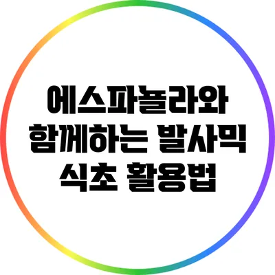 에스파뇰라와 함께하는 발사믹 식초 활용법