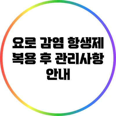 요로 감염: 항생제 복용 후 관리사항 안내