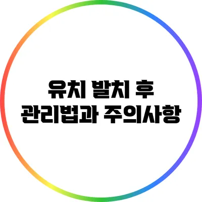 유치 발치 후 관리법과 주의사항