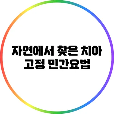 자연에서 찾은 치아 고정 민간요법