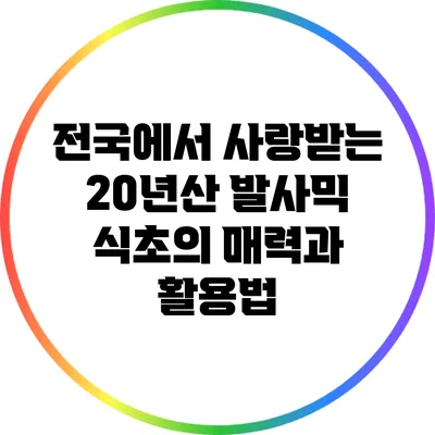 전국에서 사랑받는 20년산 발사믹 식초의 매력과 활용법