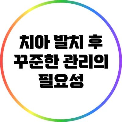 치아 발치 후 꾸준한 관리의 필요성