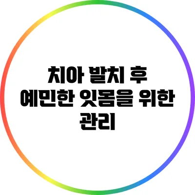 치아 발치 후 예민한 잇몸을 위한 관리