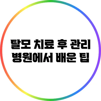 탈모 치료 후 관리: 병원에서 배운 팁