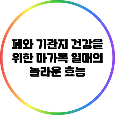 폐와 기관지 건강을 위한 마가목 열매의 놀라운 효능