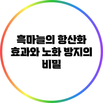 흑마늘의 항산화 효과와 노화 방지의 비밀