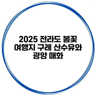 2025 전라도 봄꽃 여행지 구례 산수유와 광양 매화