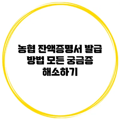 농협 잔액증명서 발급 방법 모든 궁금증 해소하기