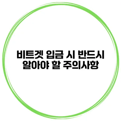 비트겟 입금 시 반드시 알아야 할 주의사항