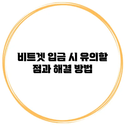 비트겟 입금 시 유의할 점과 해결 방법