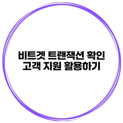비트겟 트랜잭션 확인 고객 지원 활용하기