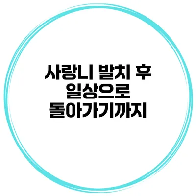 사랑니 발치 후 일상으로 돌아가기까지