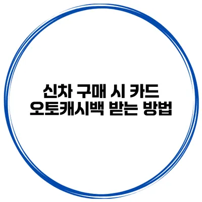 신차 구매 시 카드 오토캐시백 받는 방법