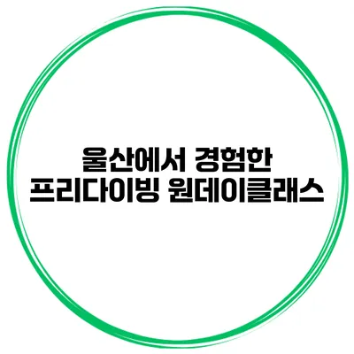 울산에서 경험한 프리다이빙 원데이클래스