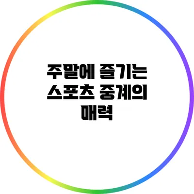 주말에 즐기는 스포츠 중계의 매력