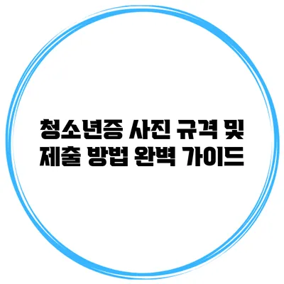 청소년증 사진 규격 및 제출 방법 완벽 가이드