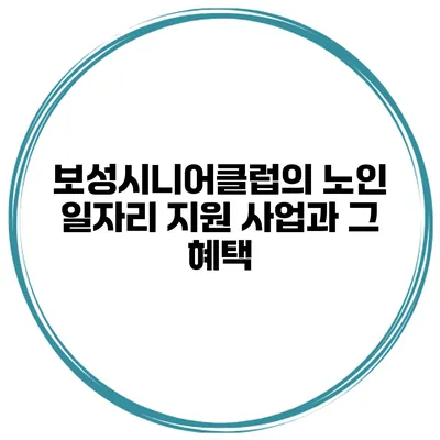 보성시니어클럽의 노인 일자리 지원 사업과 그 혜택